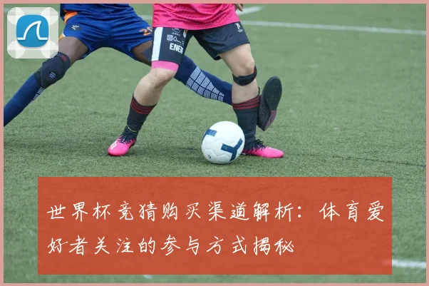 世界杯竞猜购买渠道解析:体育爱好者关注的参与方式揭秘