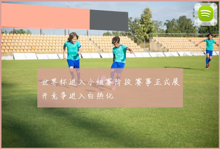 世界杯进入小组赛阶段 赛事正式展开竞争进入白热化