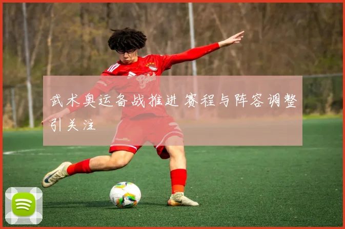 武术奥运备战推进 赛程与阵容调整引关注