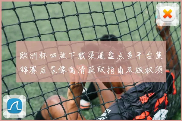 欧洲杯回放下载渠道盘点多平台集锦赛后录像高清获取指南及版权须知